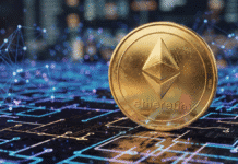 Tom Lee : Ethereum se transforme en monnaie productive et surpasse les autres actifs en temps de guerre. Tom Lee : Ethereum se transforme en monnaie productive et surpasse les autres actifs en temps de guerre.