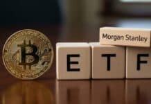 Casi un millón de dólares en su estreno: Morgan Stanley atrae las primeras miradas con su ETF de Bitcoin Casi un millón de dólares en su estreno: Morgan Stanley atrae las primeras miradas con su ETF de Bitcoin