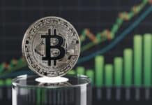 Peter Brandt proyecta que Bitcoin llegará a $500.000 en 2029, pero antes caerá más Peter Brandt proyecta que Bitcoin llegará a $500.000 en 2029, pero antes caerá más