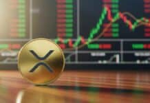 Esta es la señal técnica en XRP que los analistas no pierden de vista: ¿Por qué su precio ya no sigue a Bitcoin? Esta es la señal técnica en XRP que los analistas no pierden de vista: ¿Por qué su precio ya no sigue a Bitcoin?